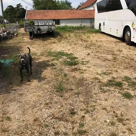 Apartament Rez De Maison Jardin *